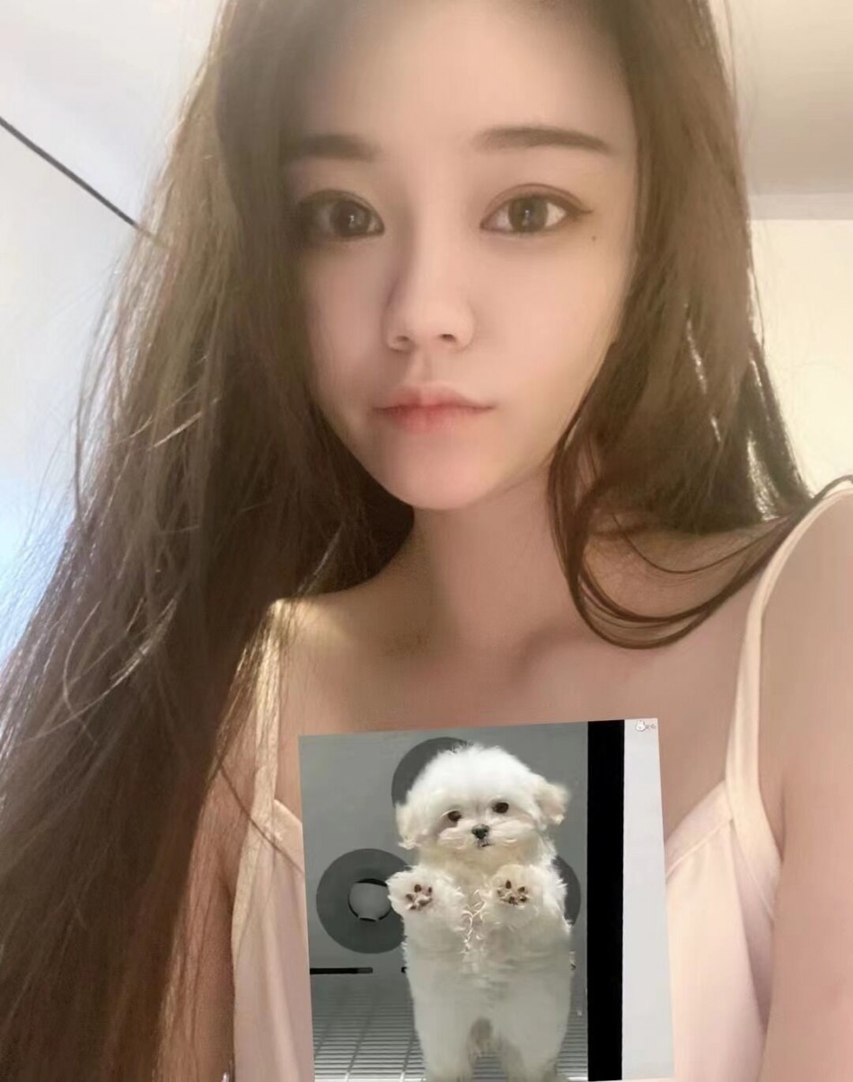 858016_H28EV8VHYHW3NK7.png